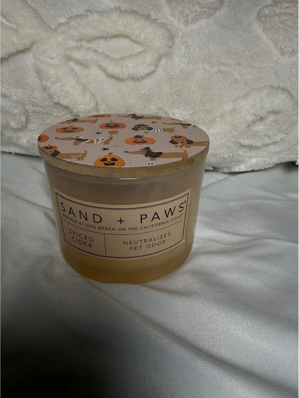 Sand and Paws Halloween Candle Pumpkin Dachshund Lid